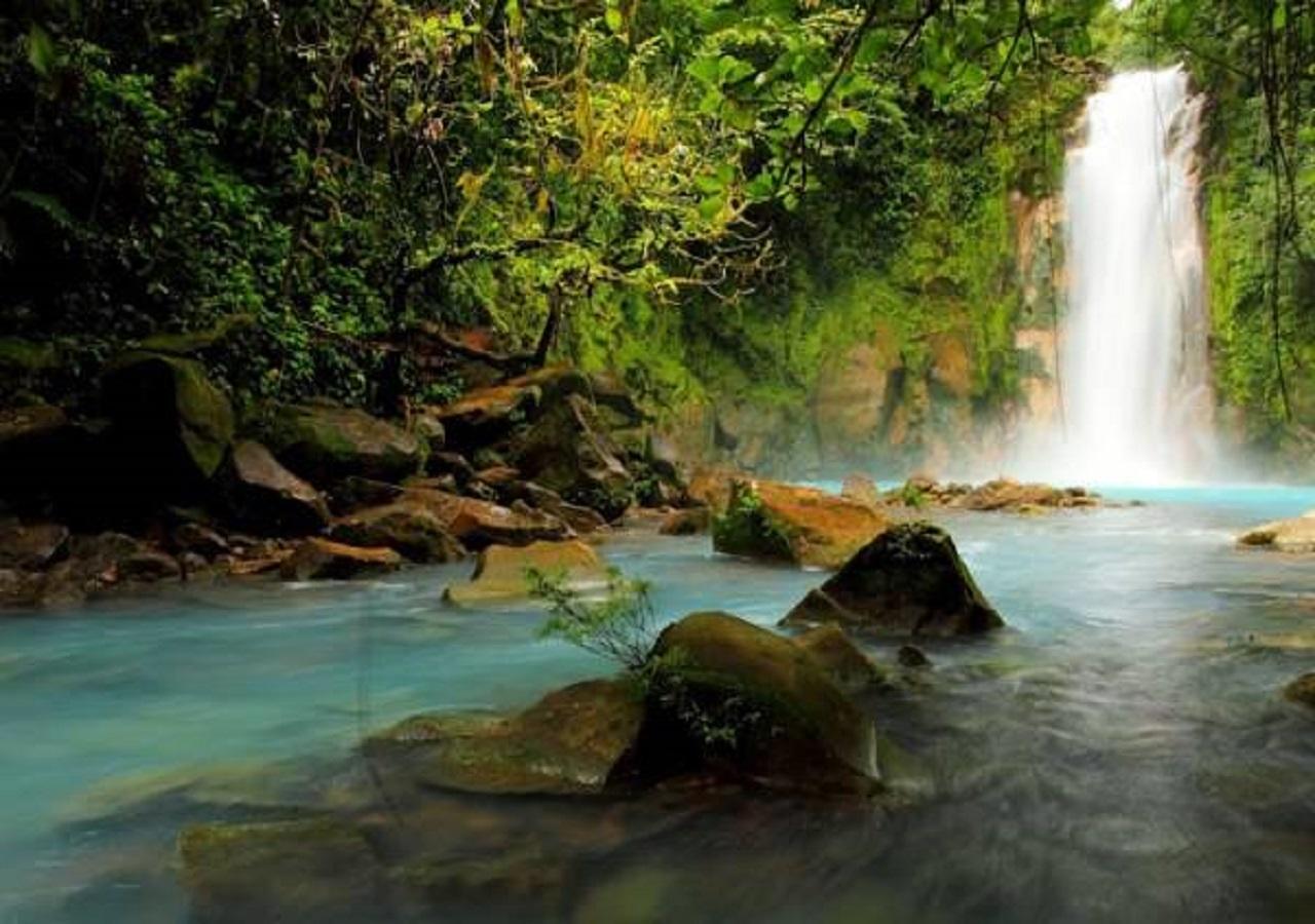 Hotel Tangara Arenal B&B La Fortuna Bagian luar foto